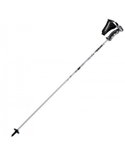 silvester-gabel-ski-poles.jpg