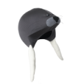 055_SAC.png