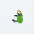 S085_SB2-SKI.jpg