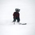 007_SB2SKI-3.jpg