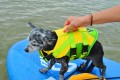 Product-Mood_dog-life-jacket_6.jpg