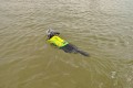 Product-Mood_dog-life-jacket_5.jpg